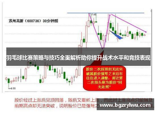 羽毛球比赛策略与技巧全面解析助你提升战术水平和竞技表现